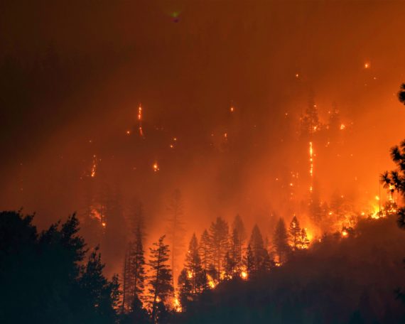 Burning forest in Klamath National Forest, Yreka, USA. By Matt Howard