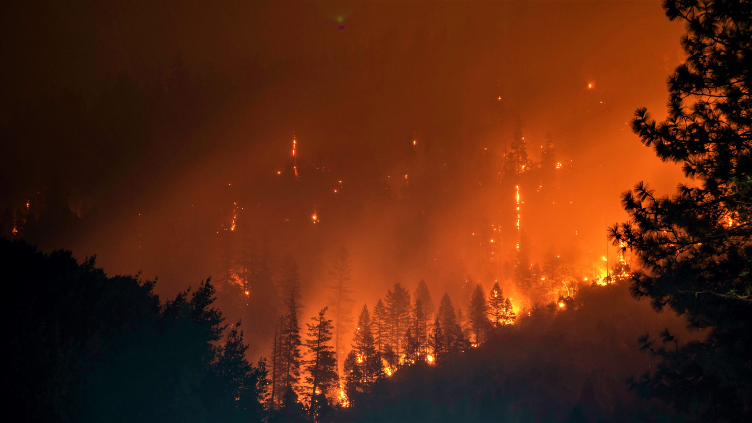 Burning forest in Klamath National Forest, Yreka, USA. By Matt Howard