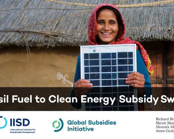 IISD 2019 Subsidy Swap Report