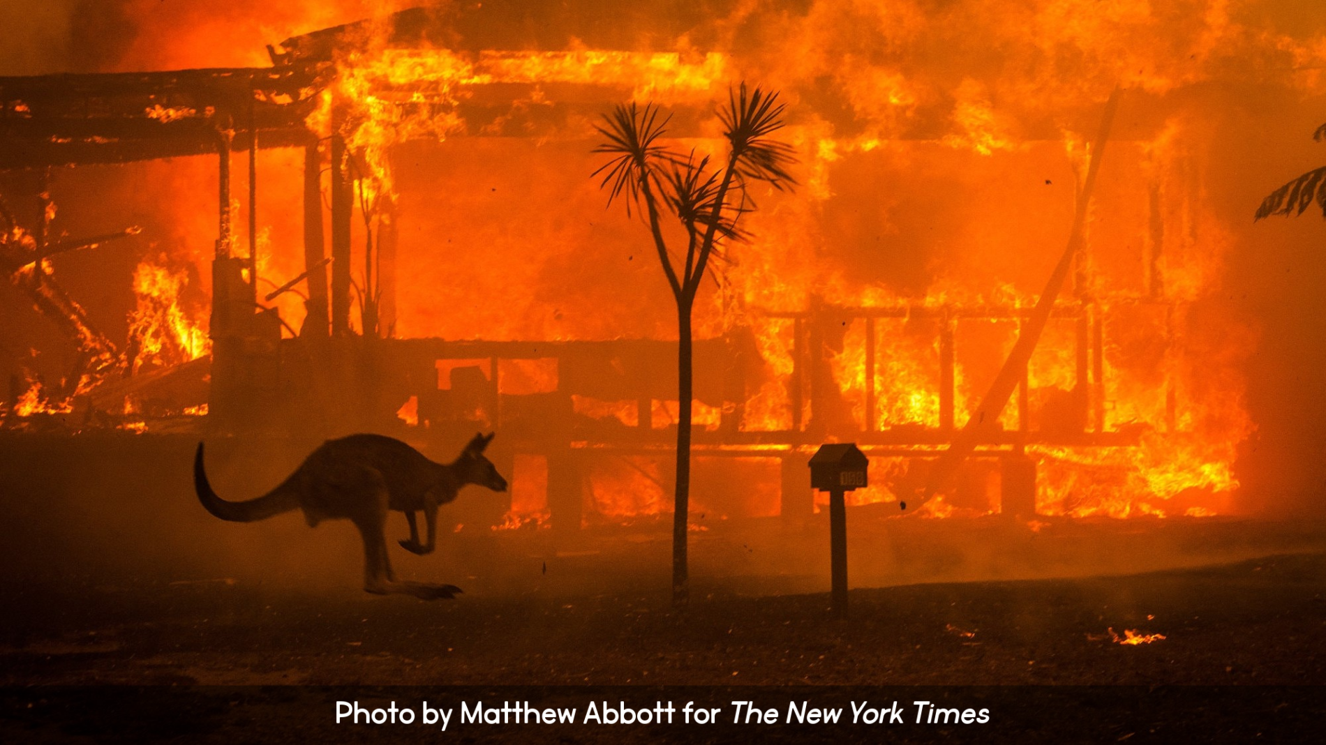 Australia Wildfire December 2019